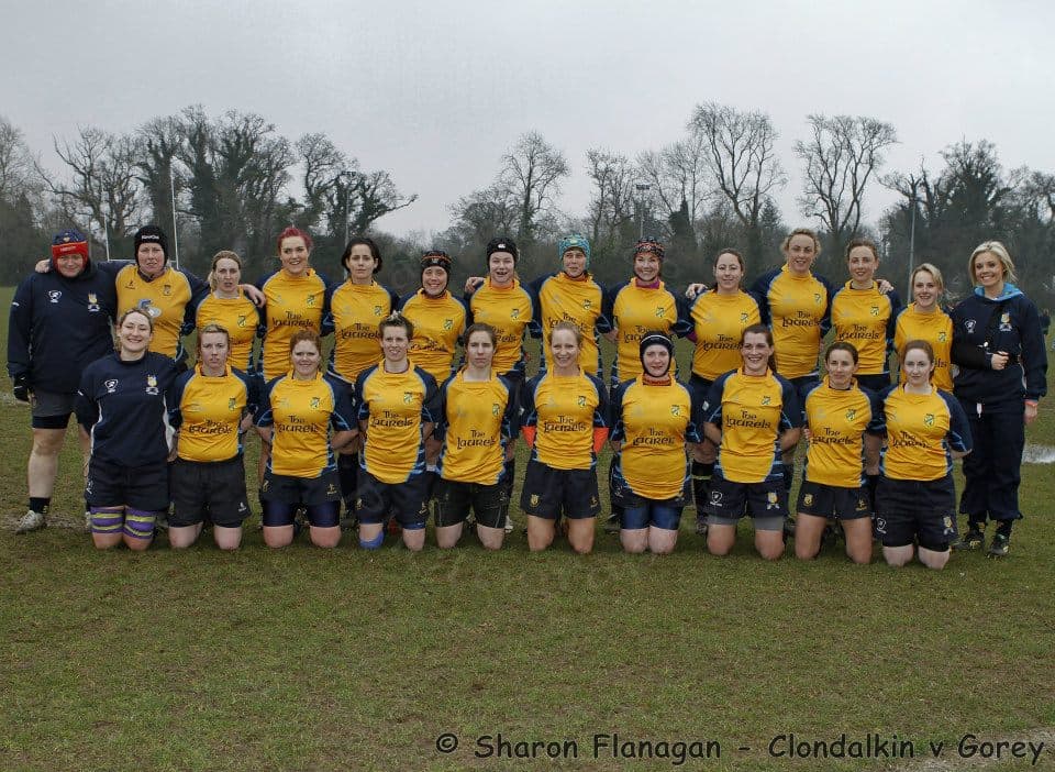 Clondalkin v Gorey 2014 Team Photo